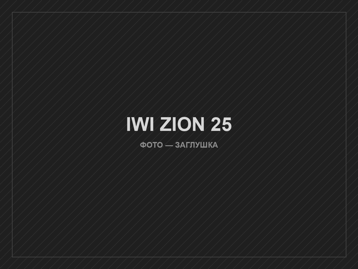 IWI ZION 25
